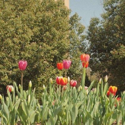 hth·华体育APPapp下载