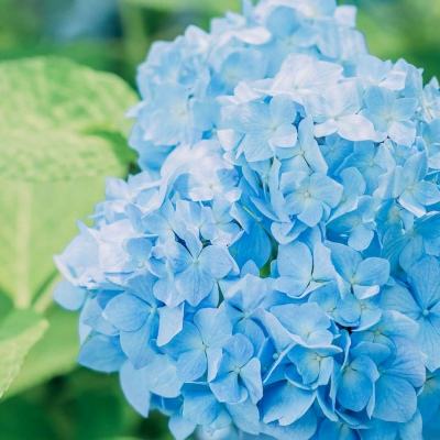 半岛·综合体育中国