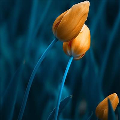 m6米乐官方入口app下载